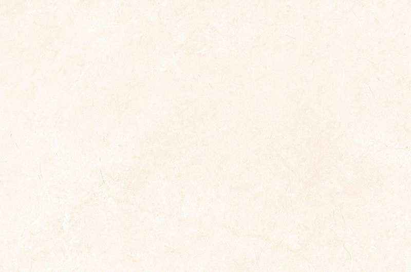 1009