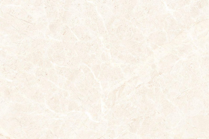 1013