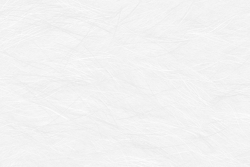 1036